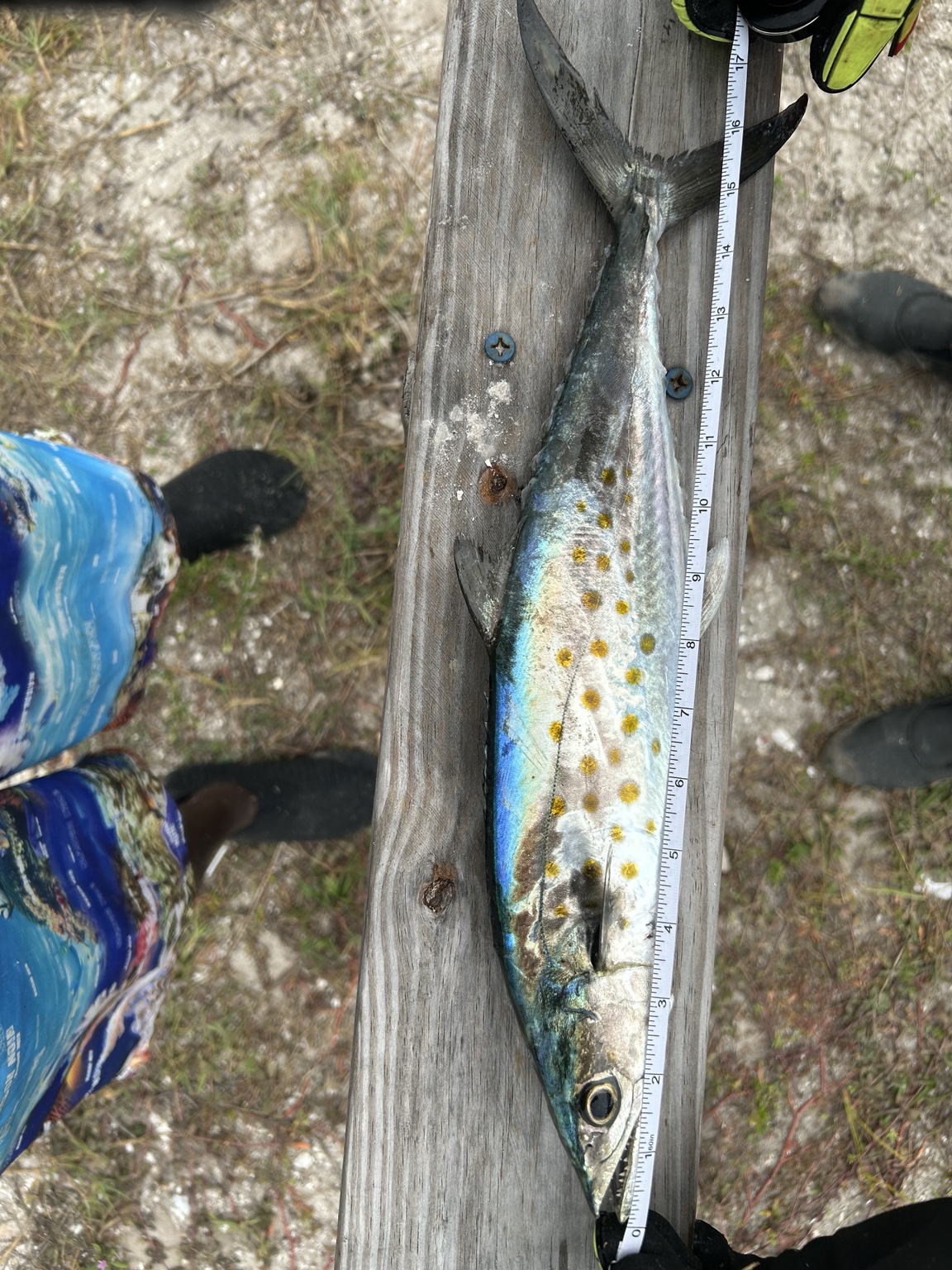 Angler holding a fish from a kayak